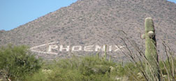 Phoenix pic